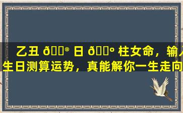 乙丑 💮 日 🐺 柱女命，输入生日测算运势，真能解你一生走向